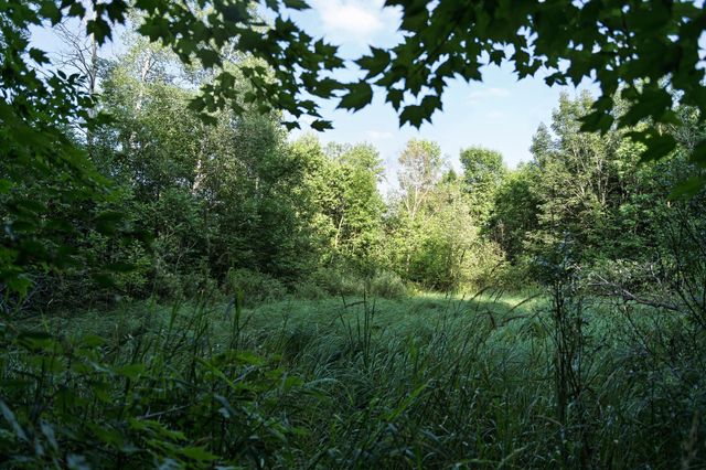 18467 Vineland Road, Kathio Twp, MN 56359