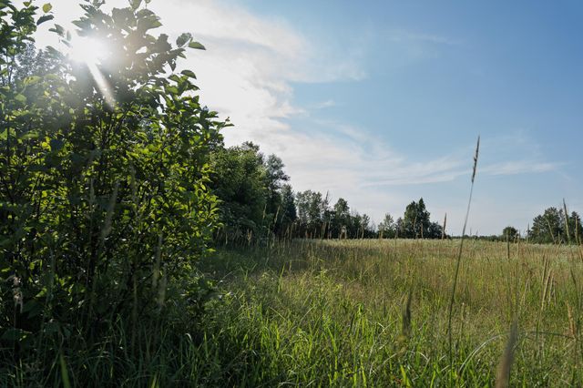 18467 Vineland Road, Kathio Twp, MN 56359