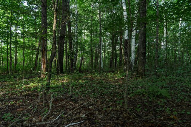 18467 Vineland Road, Kathio Twp, MN 56359