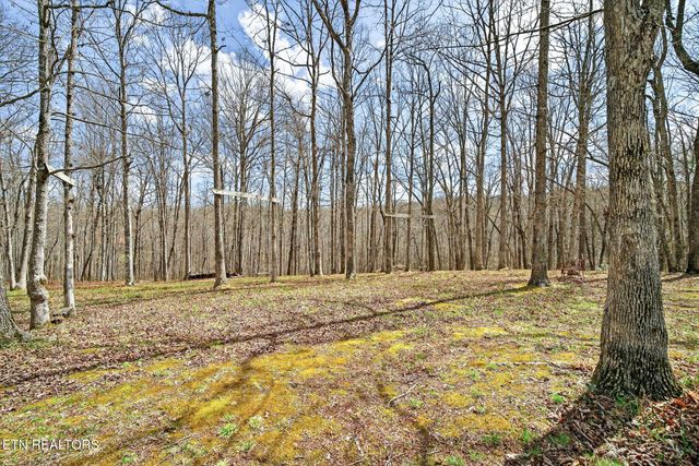 2317 Arrow Tr, Monterey, TN 38574