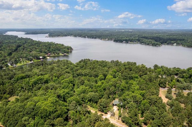194 Sabine St, Scroggins, TX 75480
