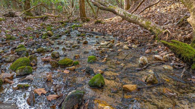 327 Hooch Holler Lane 4 & 5, Morganton, GA 30560