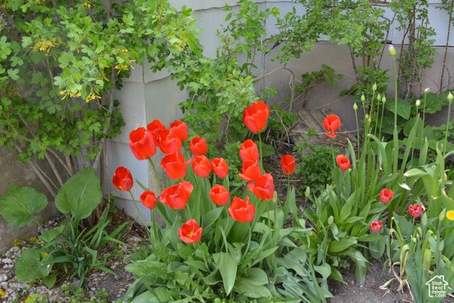 309 S 9TH ST, Montpelier, ID 83254