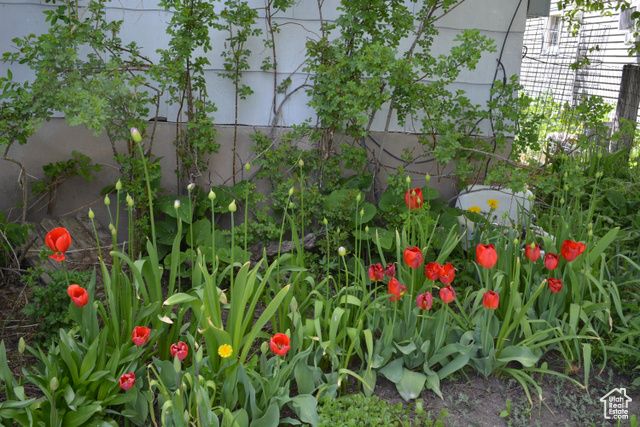 309 S 9TH ST, Montpelier, ID 83254