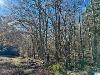 COUNTY ROAD 7, Wedowee, AL 36278