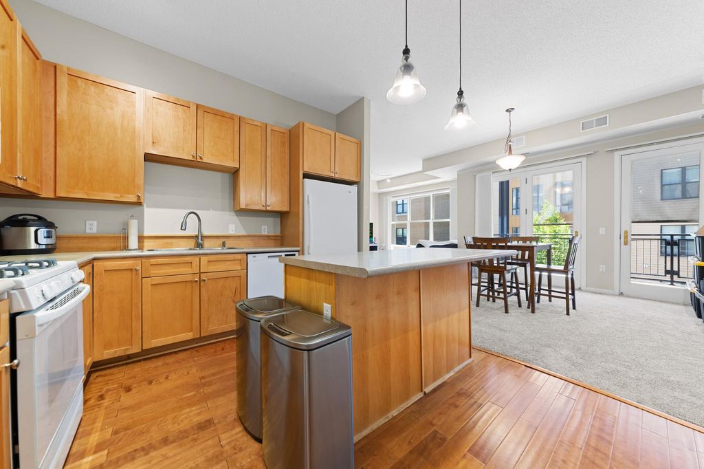 209 8th Street E 305, Saint Paul, MN 55101 — photo 3