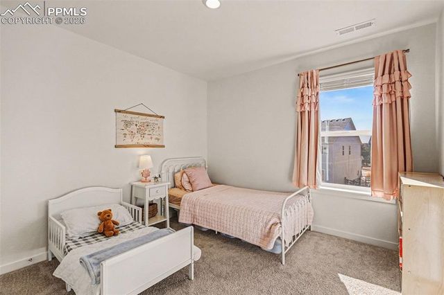 2315 Coyote Mint Drive, Monument, CO 80132