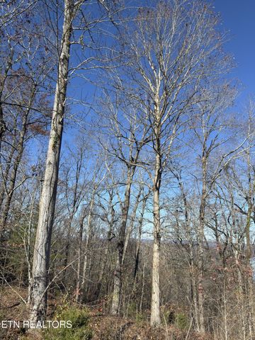 161 Highland Reserve Way, Kingston, TN 37763