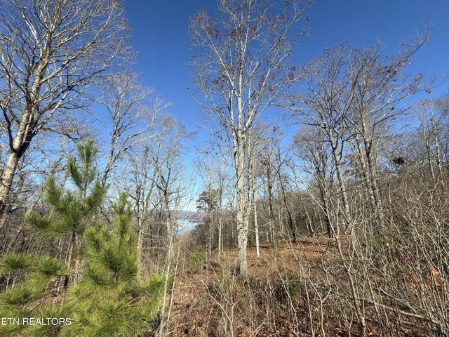 161 Highland Reserve Way, Kingston, TN 37763