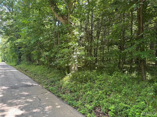 0 Old St Louis Road, Valles Mines, MO 63087
