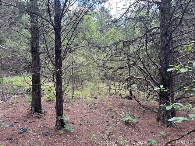 0 Old St Louis Road, Valles Mines, MO 63087