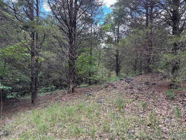 0 Old St Louis Road, Valles Mines, MO 63087