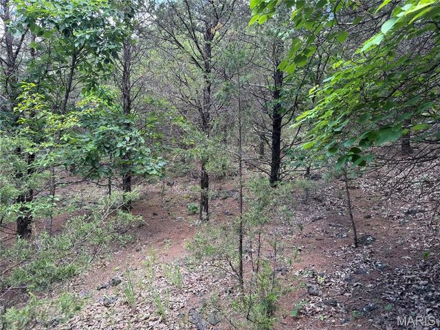 0 Old St Louis Road, Valles Mines, MO 63087
