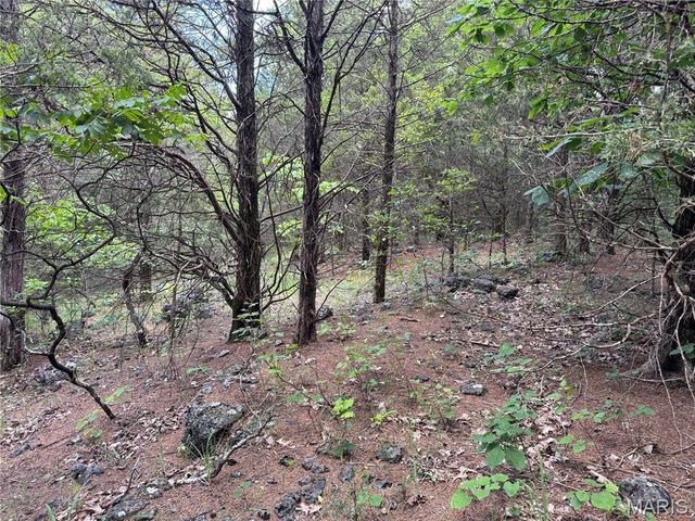 0 Old St Louis Road, Valles Mines, MO 63087