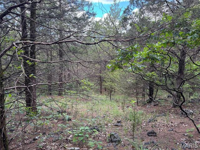 0 Old St Louis Road, Valles Mines, MO 63087