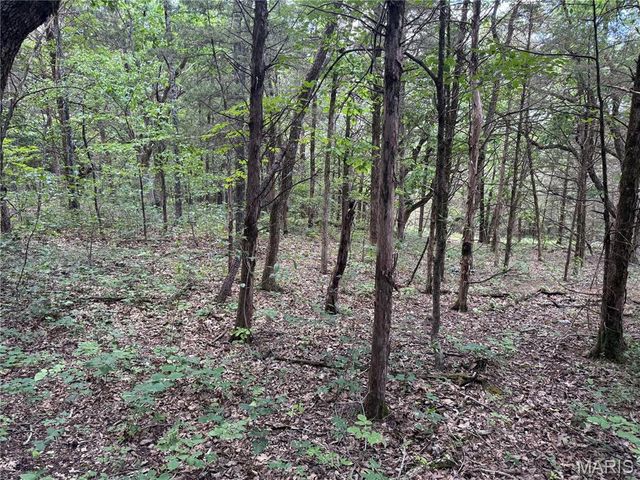 0 Old St Louis Road, Valles Mines, MO 63087
