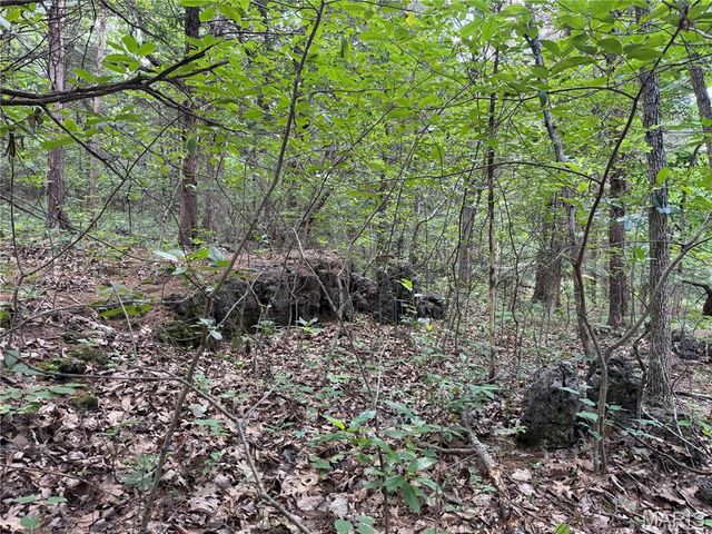 0 Old St Louis Road, Valles Mines, MO 63087