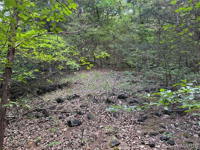 0 Old St Louis Road, Valles Mines, MO 63087