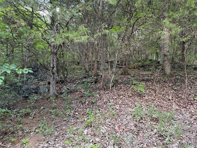 0 Old St Louis Road, Valles Mines, MO 63087