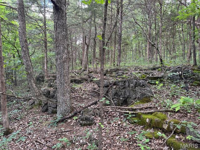 0 Old St Louis Road, Valles Mines, MO 63087
