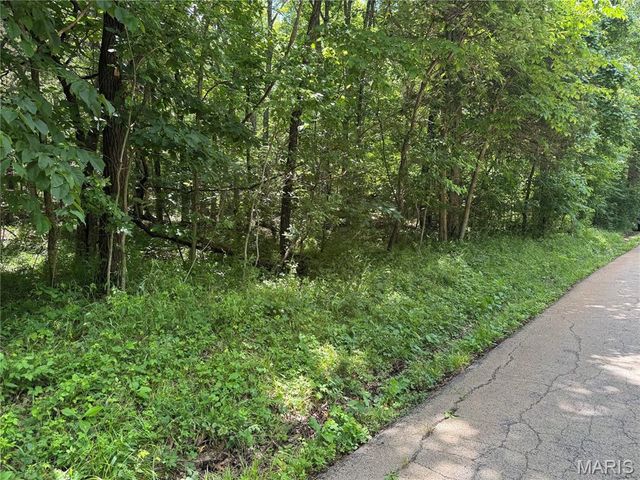 0 Old St Louis Road, Valles Mines, MO 63087