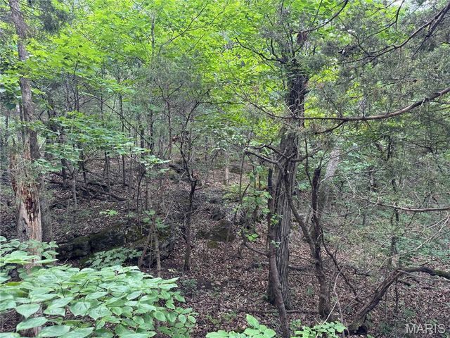 0 Old St Louis Road, Valles Mines, MO 63087