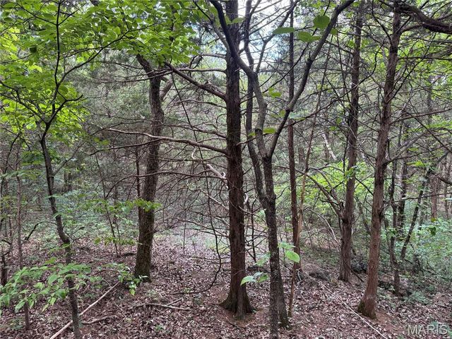 0 Old St Louis Road, Valles Mines, MO 63087