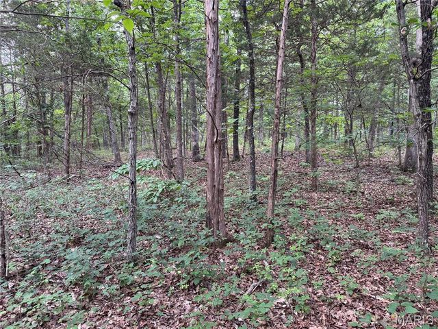0 Old St Louis Road, Valles Mines, MO 63087