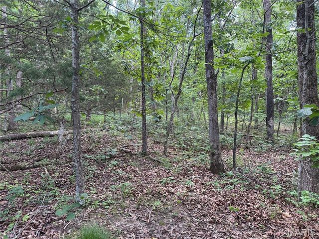 0 Old St Louis Road, Valles Mines, MO 63087