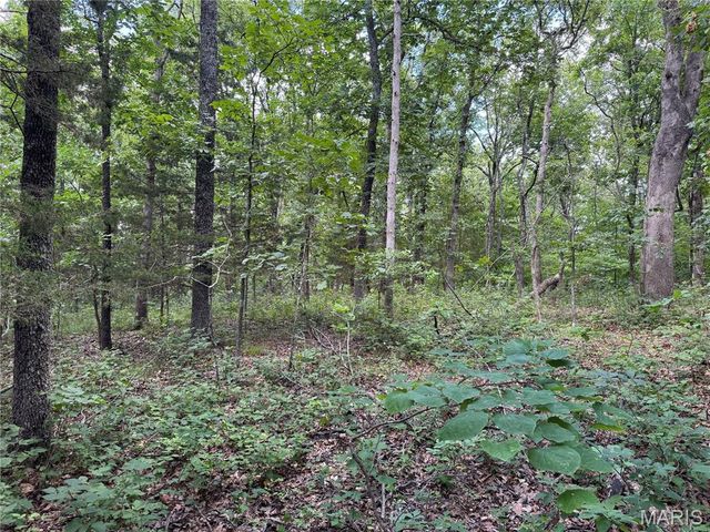 0 Old St Louis Road, Valles Mines, MO 63087