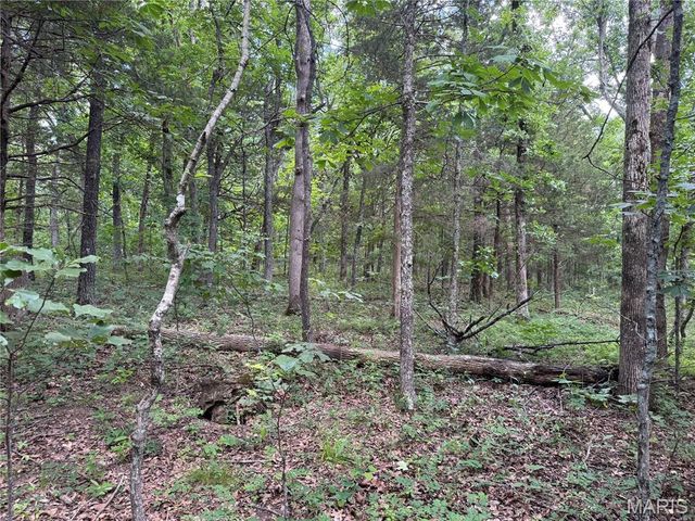0 Old St Louis Road, Valles Mines, MO 63087