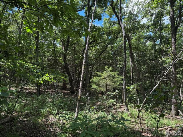 0 Old St Louis Road, Valles Mines, MO 63087