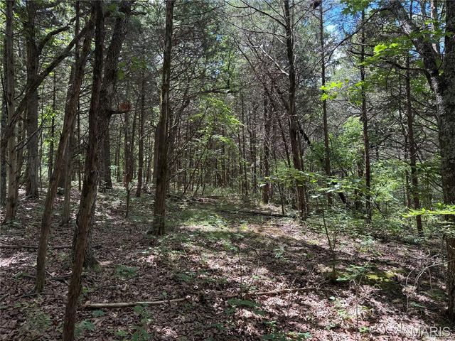0 Old St Louis Road, Valles Mines, MO 63087