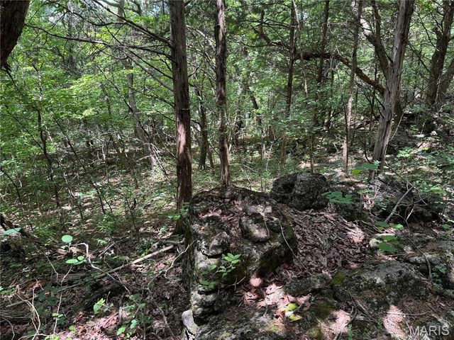 0 Old St Louis Road, Valles Mines, MO 63087