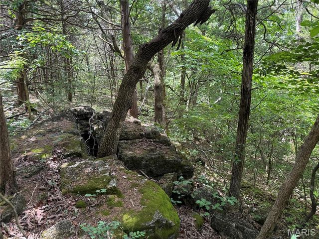 0 Old St Louis Road, Valles Mines, MO 63087