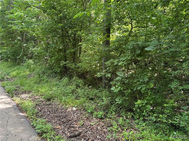 0 Old St Louis Road, Valles Mines, MO 63087