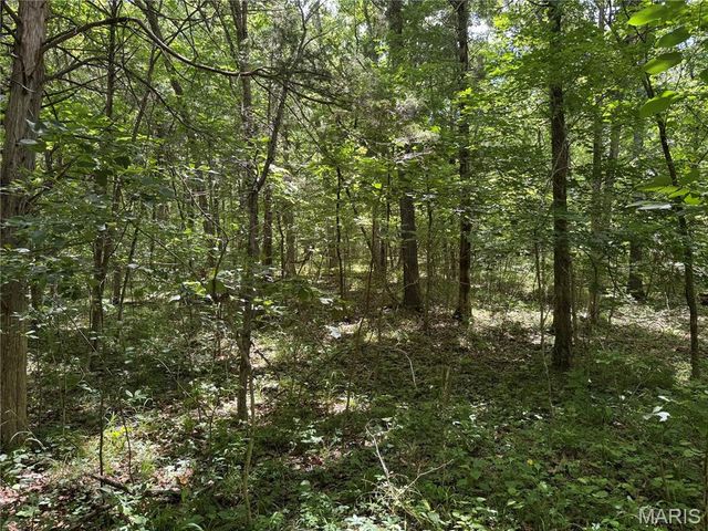 0 Old St Louis Road, Valles Mines, MO 63087