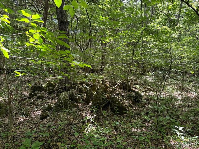 0 Old St Louis Road, Valles Mines, MO 63087