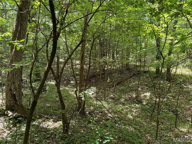 0 Old St Louis Road, Valles Mines, MO 63087