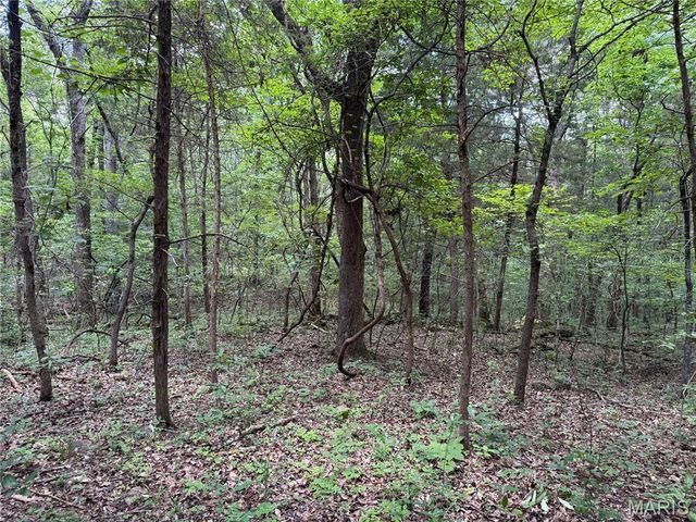0 Old St Louis Road, Valles Mines, MO 63087