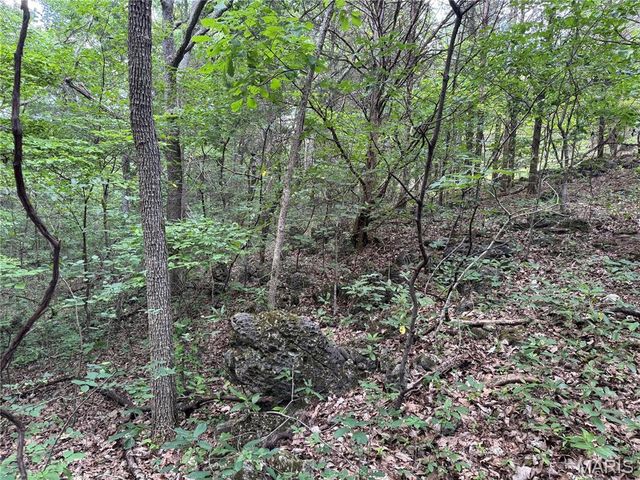 0 Old St Louis Road, Valles Mines, MO 63087