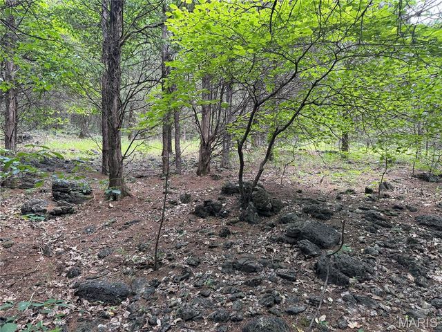 0 Old St Louis Road, Valles Mines, MO 63087