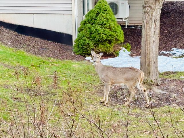 2268 NW Pin Oak Court NW 91, Grand Rapids, MI 49504