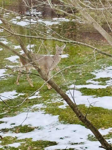 2268 NW Pin Oak Court NW 91, Grand Rapids, MI 49504