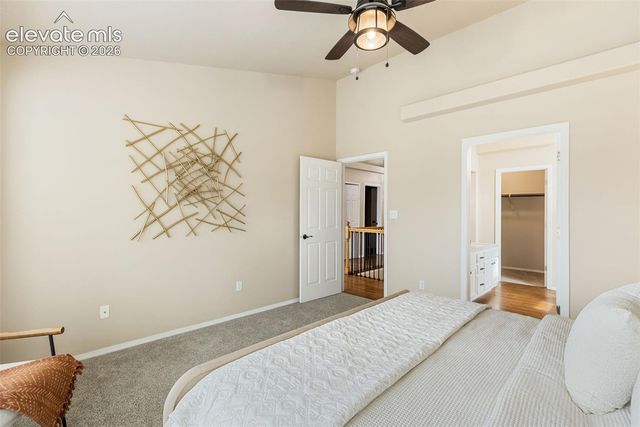 6689 Showhorse Court, Colorado Springs, CO 80922
