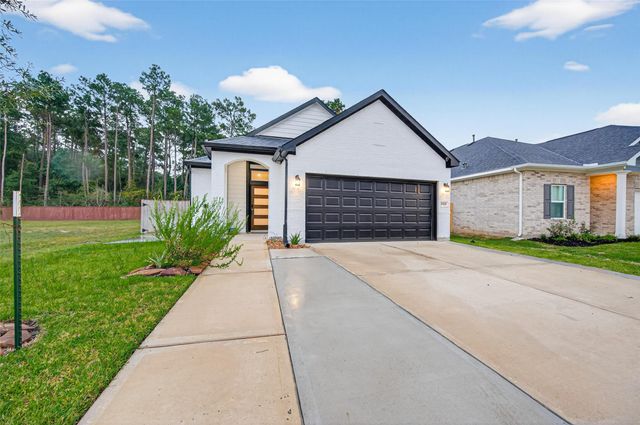 27228 Mockingbird Terrace Lane, Magnolia, TX 77354