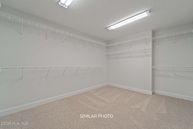 304 Water Wagon Trail, Jacksonville, NC 28546