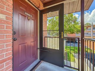 2442 ENTERPRISE ROAD 6, Clearwater, FL 33763