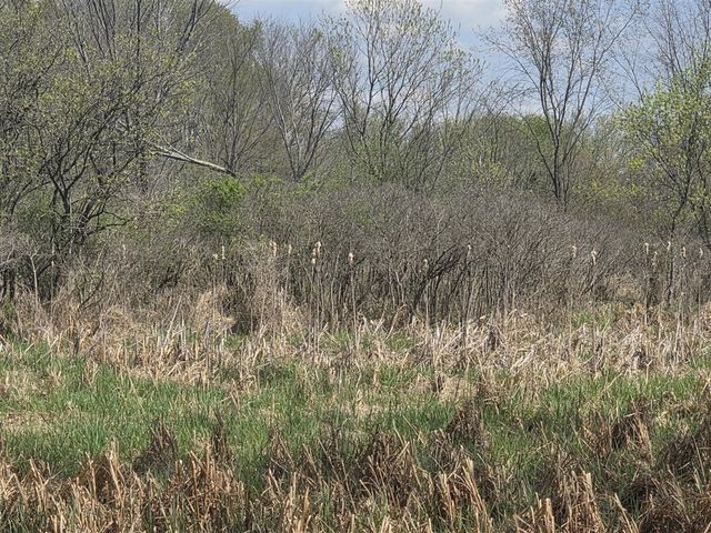1627 W Barnes Road, Leslie, MI 49251