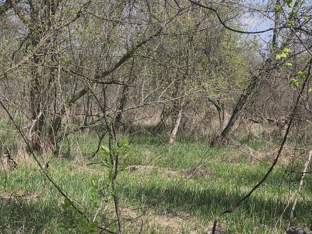 1627 W Barnes Road, Leslie, MI 49251